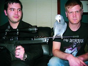 Hatebeak – A Death Metal Band Whose Lead Vocalist Was a Parrot