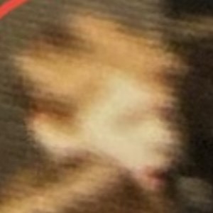 Buttercheeks - Twitch