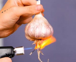 Sauvegarder les saisons ! Comment conserver les produits frais toute l'année ! | Brico Sympa