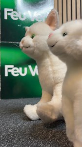161K views · 97 reactions | En parlant de mascotte Intermarché, on a du stock de peluches si besoin de livrer vos magasins pour Noël  #feuvert #intermarche #loup #chat #noel | Feu Vert | Facebook