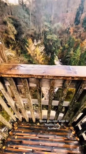 Is this the best waterfall in Scotland? 🏴󠁧󠁢󠁳󠁣󠁴󠁿 The Plodda Falls is a beautiful and natural waterfall situated in a picturesque forested area, surrounded by lush green vegetation, rugged cliffs and towering trees. 🎥 @adamjmcnally #travel #uktravel #ukhiddengems #ploddafalls | UK Hidden Gems