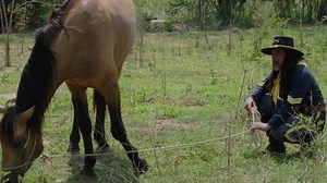 Cowboy Feeding Horse Farm Dressing Cowboy: стоковое видео (без лицензионных платежей), 1045327024 | Shutterstock