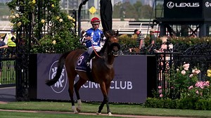 Flemington kicked off 2024 with exhilarating races and fantastic summer weather. ☀️ #Flemington | Flemington Racecourse and Victoria Racing Club