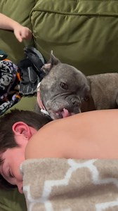 New trend: getting a dog bath! LOL. 🐶🐶😂😂 #Animals #Dog | Animalistic