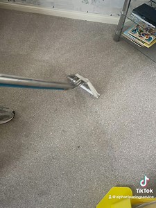 Are your carpets due a spring clean, book now | Alpha Cleaning Services