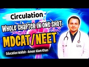 Circulation in One Shot | Circulation Complete Chapter | MDCAT and NEET | Circulation Lecture MDCAT