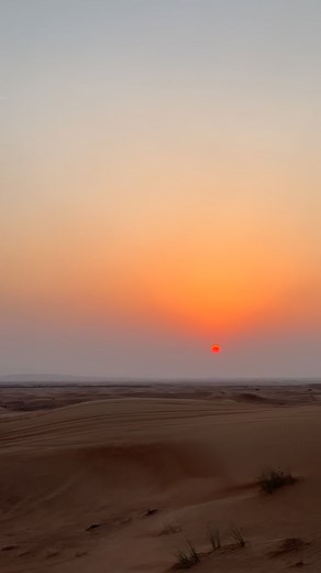 Dubia desert safari 🏜️ | Kaleem Wafa