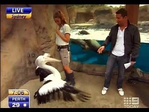 Today Show Funny Bits part 9. Todays Forecast.. Laughs!