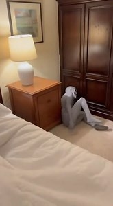 26K views · 106 reactions | a scary prank on grandma | SR Digital Tips | Facebook