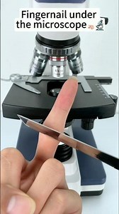 नाखून under the maikro skop #shortvideo #