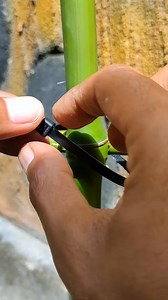 Useful trick! How can you easily tie the bamboo crosspiece？ #tips #shorts | Tube Creative
