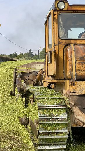 Restoring Old Bulldozer on Agricultural Land