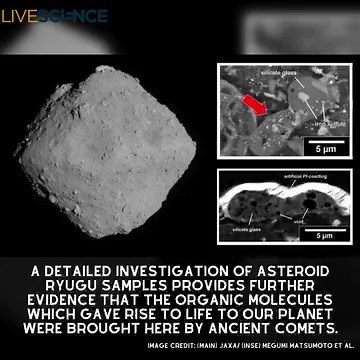 LiveScience on Reels