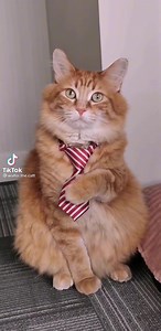 10K views · 363 reactions | Rule 34 Club on Reels | Facebook