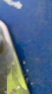 Nice little surprise this morning 😱🐝 | UK Barn Finds