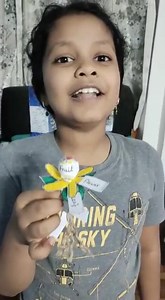 DPS Mahendra Hills on Reels