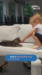 Beautiful friendships are always spontaneous #NewBeginning #FirstMeet #Bestfriends | The Daily Heartbeat