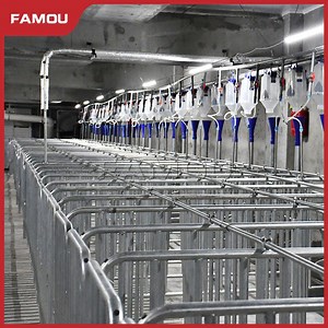 [Hot Item] Famou Smart Pig Farming Equipment Easily Clean Pregnant Sow Gestation Crate for Positioning Bar System