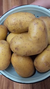 9.4K views · 164 reactions | Homemade potato salad Directions for baking or boiling potatoes. The perfect picnic side dish!! Find the FULL recipe here  https://afarmgirlskitchen.com/potato-salad-recipe/ #potatosalad #potatosaladrecipe #easyrecipes | A Farmgirl's Kitchen | Facebook