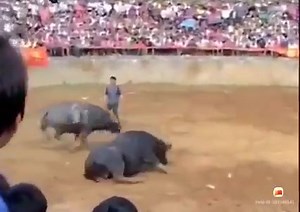 Kung fu 2021 | Bolero Hoài Niệm