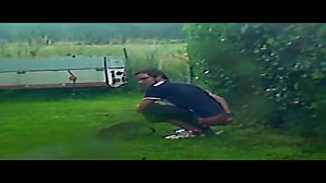 A guy poops in someone's garden.