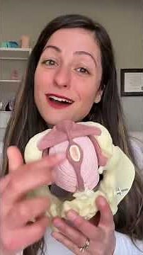 What I Learned from Talking to Experts about Safe Anal Sex