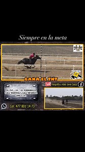 Fotografía y Video Javier GASCA on Reels