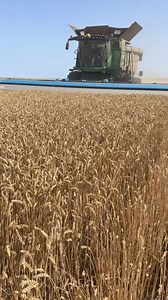 #farmer #foodproduction #machinery | Denraks Machinery