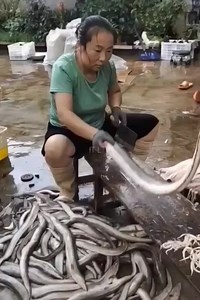 12K views · 13 reactions | Amazing technology... | Beautiful Places In India | Facebook