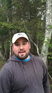 131K views · 566 reactions | Help me find Tom! | Colin Hollett | Facebook