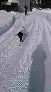 Shes a trooper! | Jane Howe