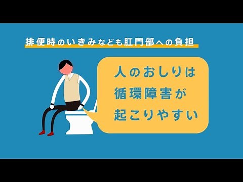 痔ができるまで