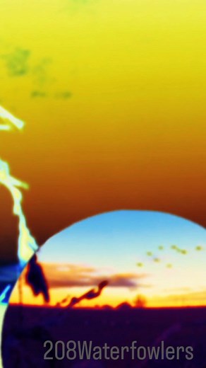 Hard to beat a honker hunt in the field #208waterfowlers #hunting #duckhunting #goosehunting #familytraditions | Adam Reynolds