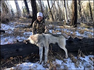 Idaho Wolf Hunt 2020