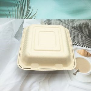 [Hot Item] Biodegradable Disposable Bagasse Clamshell Food Container