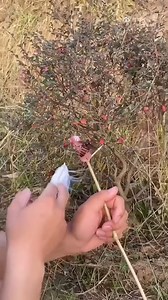 Captured pure, unfiltered awesomeness. 🫡 | Puro perfect