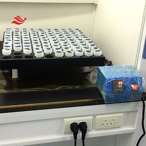 [Hot Item] Dissolve The Standard Sample at Room Temperature with 600 * 400mm Hot Plate