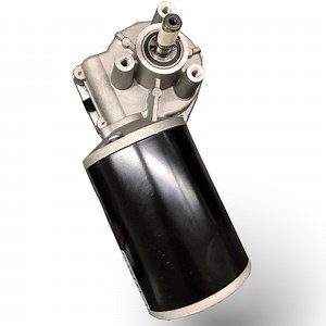 [Hot Item] DC Motor with Gearbox 100rpm 24VDC High Torque Worm Gear Motor