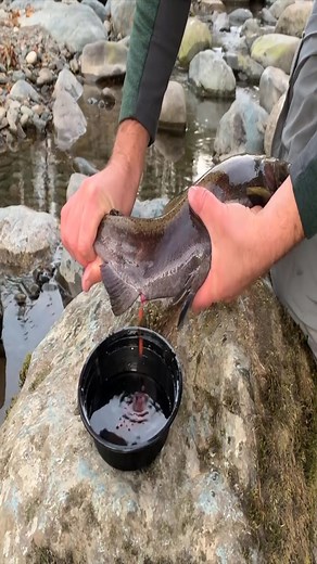 Fishing Secrets NW on TikTok