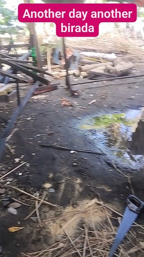 #kadokdok #homemadeinstruments 2nd day Wood Marimba and bamboo lyre | Andrie Molina Ramillete