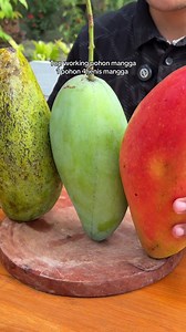 Top working pohon mangga: 1 pohon 4 jenis mangga sambung pucuk