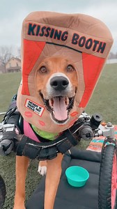 9.6K views · 1K reactions | This treato trap booth stays open...