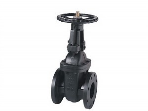 [Hot Item] Sp-70 Class 125 OS&Y Metal Seated Gate Valve