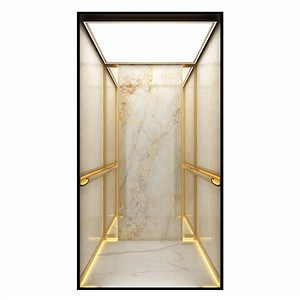 [Hot Item] Custom-Designed Machine-Room-Less Traction Hydraulic Indoor/Outdoor Lift – Villa Home Elevator