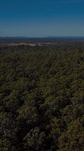 Private 101 Acres on doorstep of the Hunter Valley vineyards  For Sale | 295 Bell Road, Lower Belford  For more information contact: Scott Bailey | 0407 722 705 Melanie Sunderland | 0408 539 797 | Bailey Hunter Valley | Facebook