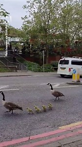 It's tough work being a police officer sometimes... | Metro