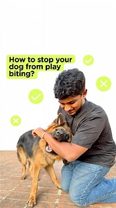 37K views · 18 reactions | Supertails on Reels | Facebook