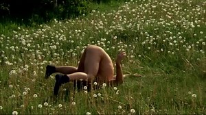 In the sign of the taurus (1974)