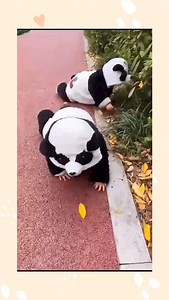 18K views · 330 reactions | Os bebês mais fofos de todos!! 殺 #bebê #bebesfofos #bebefeliz #maedemenino #viralreels #maedemeninas | It Baby | Facebook