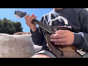 Andrew Marlin - Hawk Is A Mule - Collings MT2